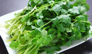 快速切香菜的方法 快速切香菜的方法简述