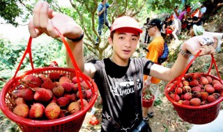 摘水果的最佳方法 什么水果怎么摘