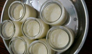 酸奶怎样制作 分别有什么不同的做法