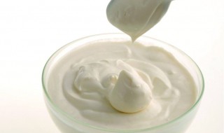 家庭酸奶制作方法 做好的酸奶怎么保存