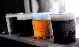 碳酸饮料的制作方法 自制碳酸料的制作方法