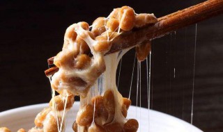 酸奶机可以做纳豆吗 可以做纳豆