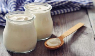 自制冻酸奶 自制冻酸奶方法
