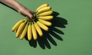 吃哪种水果招蚊子 这个冷知识你知道吗