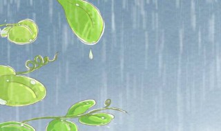 下雨防雨怎么解决 如何可以防雨