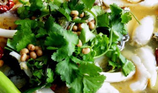 如何做酸菜鱼火锅 做酸菜火锅的步骤