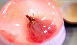 酸奶果冻怎么做 做果冻的步骤