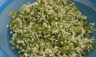 如何用韭花做韭花酱 有什么具体的步骤