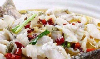 酸菜鱼哪种鱼好吃 适合做酸菜鱼的鱼