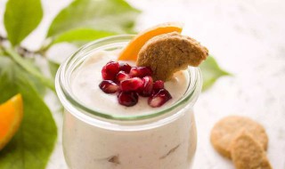 自己做酸奶用什么菌好 本文告诉你