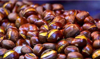 好吃板栗的做法 板栗如何做好吃