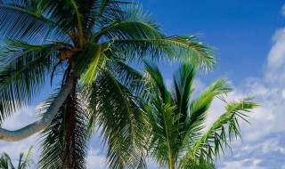 感叹生活不易的句子 有关生活不容易的说说