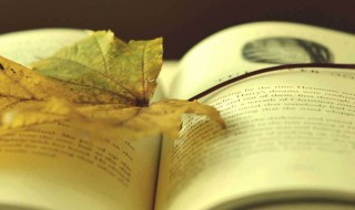 悲凉的诗句 悲凉的诗句推荐