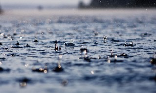 形容雨的诗句 形容雨的诗句有什么