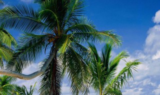 令人心痛到心碎的句子 有关心痛的说说