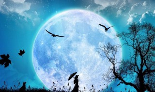 和月光有关的诗句 分别是谁写的