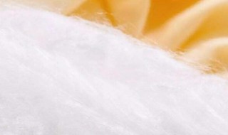 桑蚕丝和柞蚕丝的区别 桑蚕丝和柞蚕丝的区别有哪些