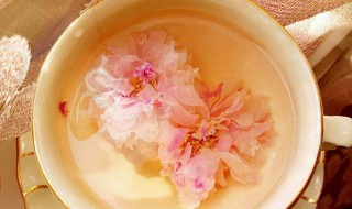 玫瑰花用什么水泡比较好 是什么原因