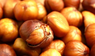 糖板栗怎么保存方法 保存新鲜板栗的6种方法
