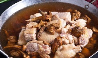 松茸炖什么比较好 和哪些食物一起炖好