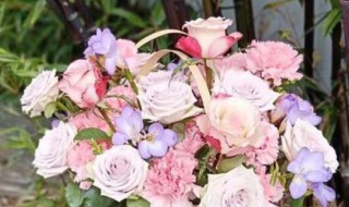 三八妇女节送什么花 三八妇女节送哪些花好