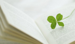 精辟短语 精辟又扎心