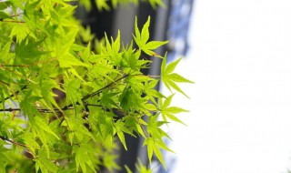 翻开以前照片心情短语 有关看旧照片的句子