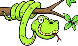 梦到蛇了是什么预兆 梦到蛇是什么意思