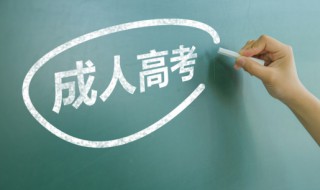 成考有什么专业 成人高考报名流程