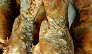 糟鱼的家常做法 糟鱼的家常做法是什么