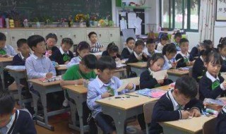 步入小学一年级的说说 有关上小学的句子