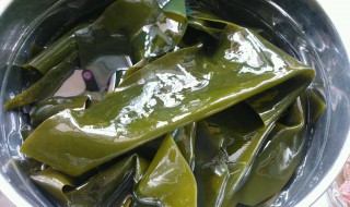 海带叶芽汤的做法 海带叶芽汤好吃做法