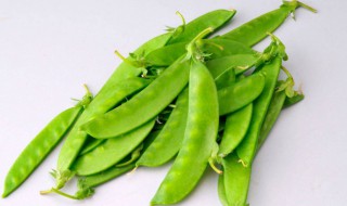 荷兰豆长大了就叫豌豆吗 荷兰豆是豌豆吗