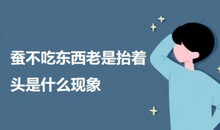 蚕不吃东西老是抬着头是什么现象 蚕不吃东西老是抬着头意味什么
