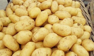 马铃薯黑心是怎么回事 马铃薯黑心是什么原因