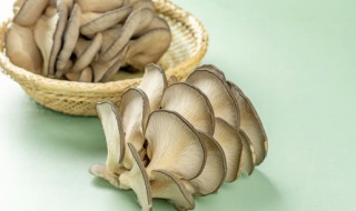 平菇鸡蛋汤的做法 平菇鸡蛋汤怎么做