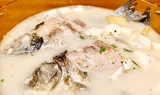 奶汤鲫鱼的做法 奶汤鲫鱼做法分享