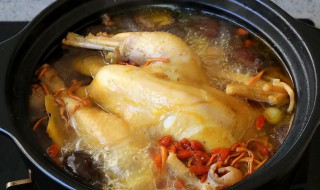 整只鸡煲汤的做法 整只鸡怎么煲汤