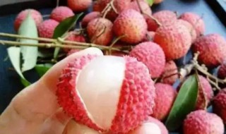 如何简单快速剥荔枝 简单快速剥荔枝方法介绍