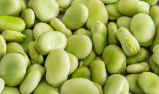 蚕豆瓣汤的做法大全 蚕豆瓣汤怎么做