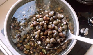 螺蛳如何清洗 螺蛳怎样清洗