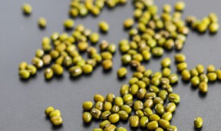 苏式绿豆汤的做法 苏式绿豆汤怎么做