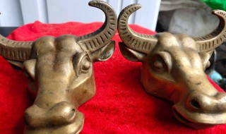 牛的寓意和象征 牛的寓意和象征有哪些