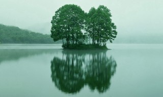 静候佳音是什么意思 静候佳音意思是什么