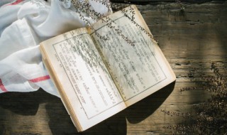 投其所好的意思 投其所好的释义