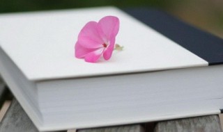 万古长青的意思 万古长青的解释