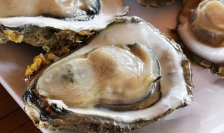 牡蛎干怎么存放 如何保存牡蛎干