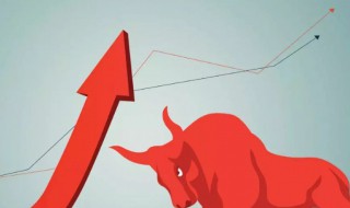 b股是什么意思啊 b股指的是什么