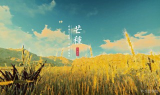 有关芒种的谚语和诗句 芒种时要做什么农活