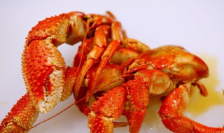 虾怪是什么 虾怪解释